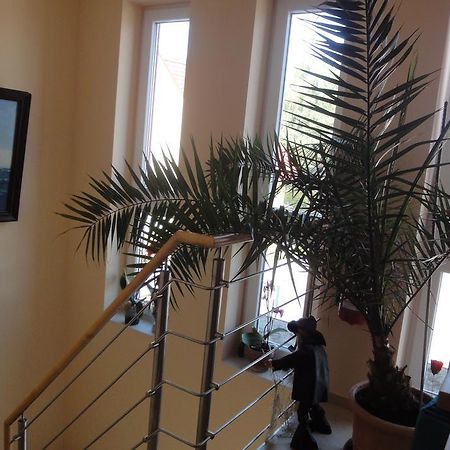 Fritzis Haus Apartment Дирхаген Екстериор снимка